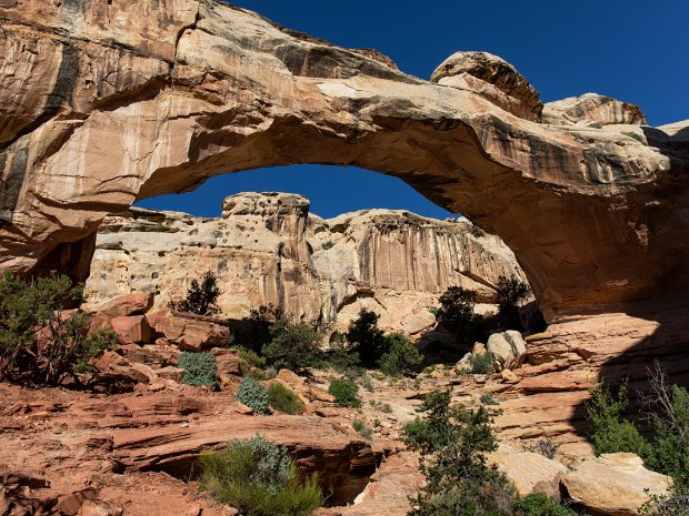 Capitol Reef - Bryce Canyon