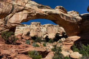 Capitol Reef - Bryce Canyon