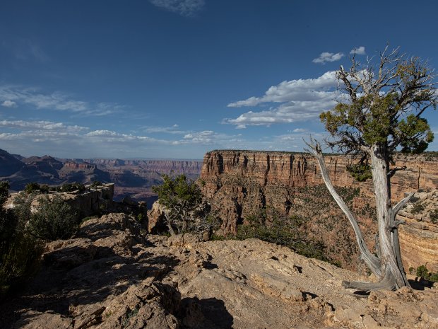 Grand Canyon